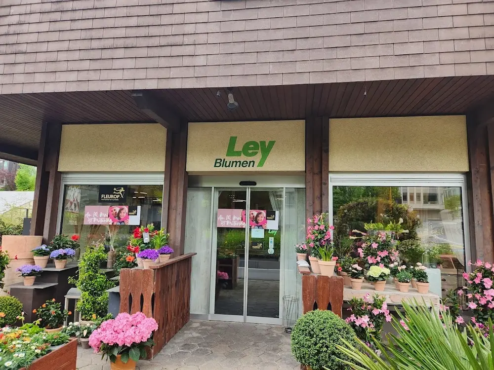 Blumen Ley
